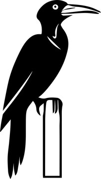 recommend clip art:  Ivory billed woodpecker icon