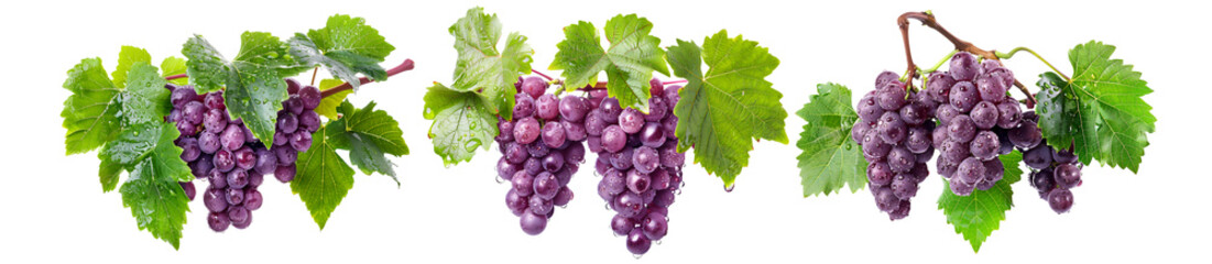 Fototapeta premium Closeup view of red grapes hanging on the vine with green leaves, isolated on a white transparent background