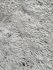 Calcium mineral spring