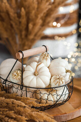 Still-life. White decorative pumpkins in an iron loft basket on the table in the home interior of the living room on the background of a beautiful side of lights. The concept of a cozy autumn.