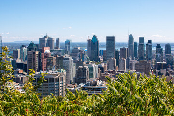 Obraz premium Panoramic View Centre Ville Montreal (Downtown) view from Mont Royal Québec Canada
