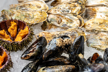 Assorted fresh seafood. Closed oysters, mussels in flaps and open sea urchins on ice
