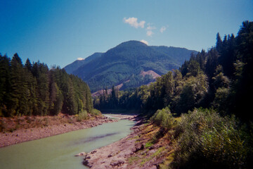 Winding River Surrounded by Pine Trees Leading to a Tree-Covered Mountain Under a Clear Sky