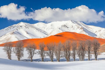 Fototapeta premium Breathtaking winter scenery features snow-capped mountains with striking orange sand dunes and a line of frosty trees on a sunny day