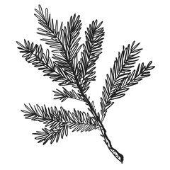 Freehand Christmas tree branch scribble isolated on white background. Texture of writing materials. Handwritten christmases doodles and pencil strokes. 