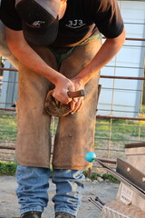 Farrier shoeing trimming and shoeing a horse
