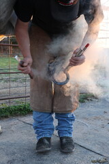 Farrier shoeing trimming and shoeing a horse