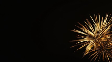 Fototapeta premium Elegant Golden Fireworks Display on Black Background for New Year's Eve Celebrations, Capturing Dynamic Energy and Festive Charm.