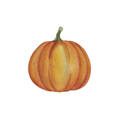 Watercolor Illustration of a Single Pumpkin for Fall and Seasonal Designs