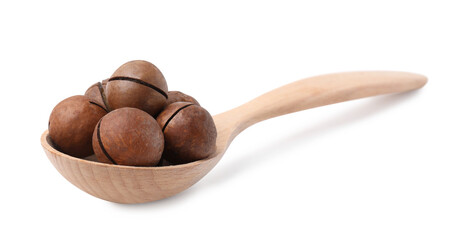 Spoon with macadamia nuts isolated on white