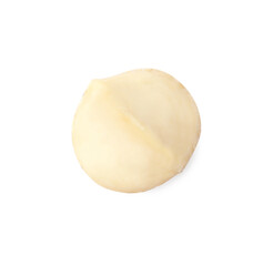 One peeled macadamia nut isolated on white, top view