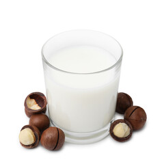 Glass of macadamia milk and nuts isolated on white