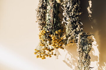 Different types of dried herbs in bundles. Wormwood, tansy, chamomile. Drying herbs. High quality photo