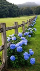 Wooden garden boxes showcase vibrant hydrangeas, enhancing the modern landscape design near a house, with a lush green lawn and trees providing serenity