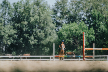 Equestrian rider training horse in an outdoor arena, featuring colorful jump poles and lush green...