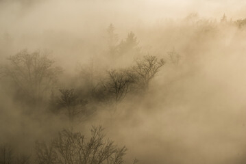 Obraz premium fogy weather - magic moment