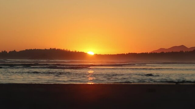 Clear Sunset over Trees and Ocean