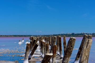 Kuyalnik is a pink salt lake in Ukraine