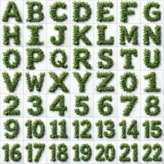 A complete alphabet and number set from 0 to 22 made entirely from fresh herbs and leaves. This natural design is perfect for eco-friendly, botanical, and nature-inspired projects.