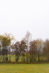 Fototapeta premium Fog by a field by the selected cultural landscape of Knai, Hurdal, Norway, a foggy day in October.