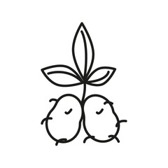 potatoes plant icon flat line symbol set.