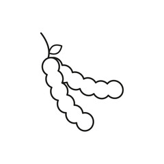 Tamarind icon flat line symbol set.