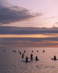 A group of people paddleboarding on calm waters during sunset. The sky is painted in soft pink,...