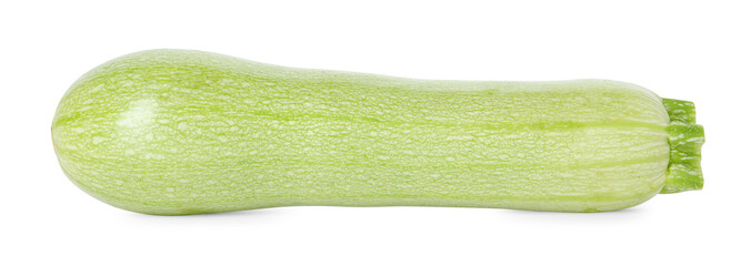 One fresh ripe zucchini isolated on white