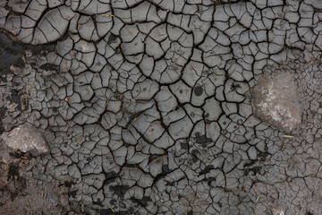 Spękana wysuszona ziemia © Michał.S-FOTO