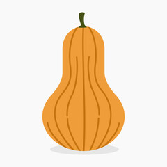 Gourd vector illustration isolated on white background