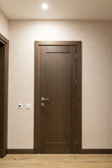 Modern apartment interior showcasing a sleek brown door design and minimalist wall detail in soft lighting for a fresh living space atmosphere