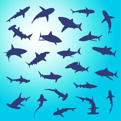 Shark Silhouette Vector Graphics. Hammer head, Great White, Tiger, & Reef Sharks