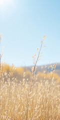 Fototapeta premium Close-up of autumn field plants against a backdrop of rolling hills and mountains, showcasing the beauty of nature in soft beige tones and atmospheric mist