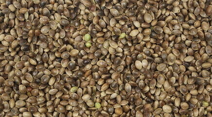 Hemp seeds background and texture