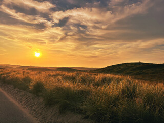 sunset over the field