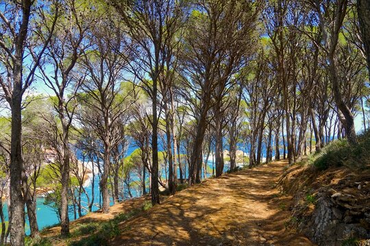 Cam&iacute; de Ronda hiking trail along the coast of the Costa Brava near Sa Tuna, Catalonia, Barcelona, Girona, Spain