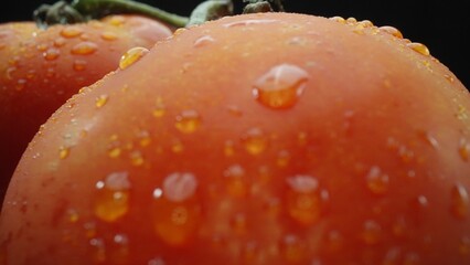 Macrography, tomatoes nestled within a rustic wooden basket are showcased against a dramatic black background. Each close-up shot captures the rich colors and textures of the tomatoes. Comestible.