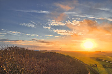 sunset over the field