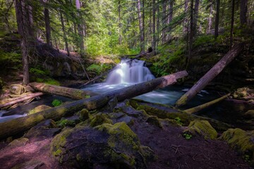 Fototapety na wymiar - Fototapeta24.pl