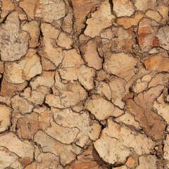 Photo of a seamless texture of cork bark