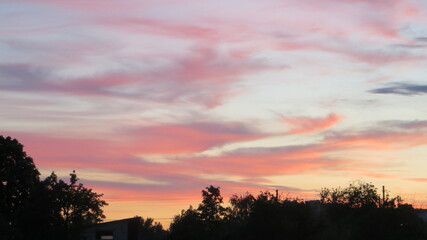 sunset in the forest