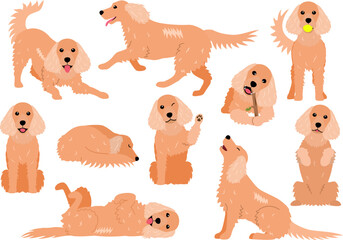 cute Cocker Spaniel various pose bundle