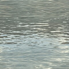 Photorealistic seamless texture of calm freshwater pond