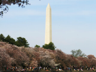 National Monument Obelisk in the National Mall in Washington DC to honor George Washington