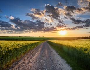 country gravel road and green wheat field with sky clouds at sunset