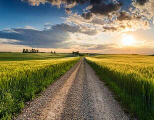 country gravel road and green wheat field with sky clouds at sunset
