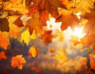 Fototapeta premium falling autumn maple leaves natural background