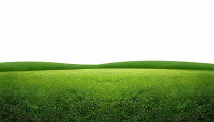 Obraz premium green grass field isolated