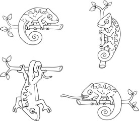 Chameleon line art or outline vector set for designer and illustrators, design elements, and coloring book