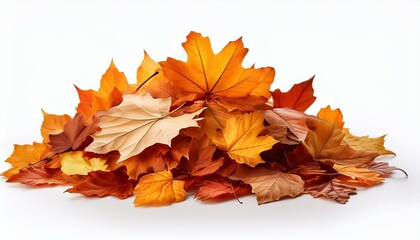 pile of autumn leaves isolated on white background